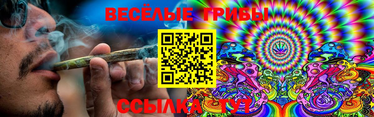Богданович  Галлюциногенные грибы прущие грибы  Вход с VPN 